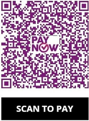 PayNow /  Bank Transfer
